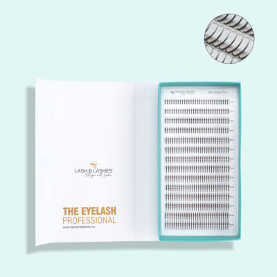 Pro Made Spike Eyelashes 0.07mm – 3D to 6D MIX
